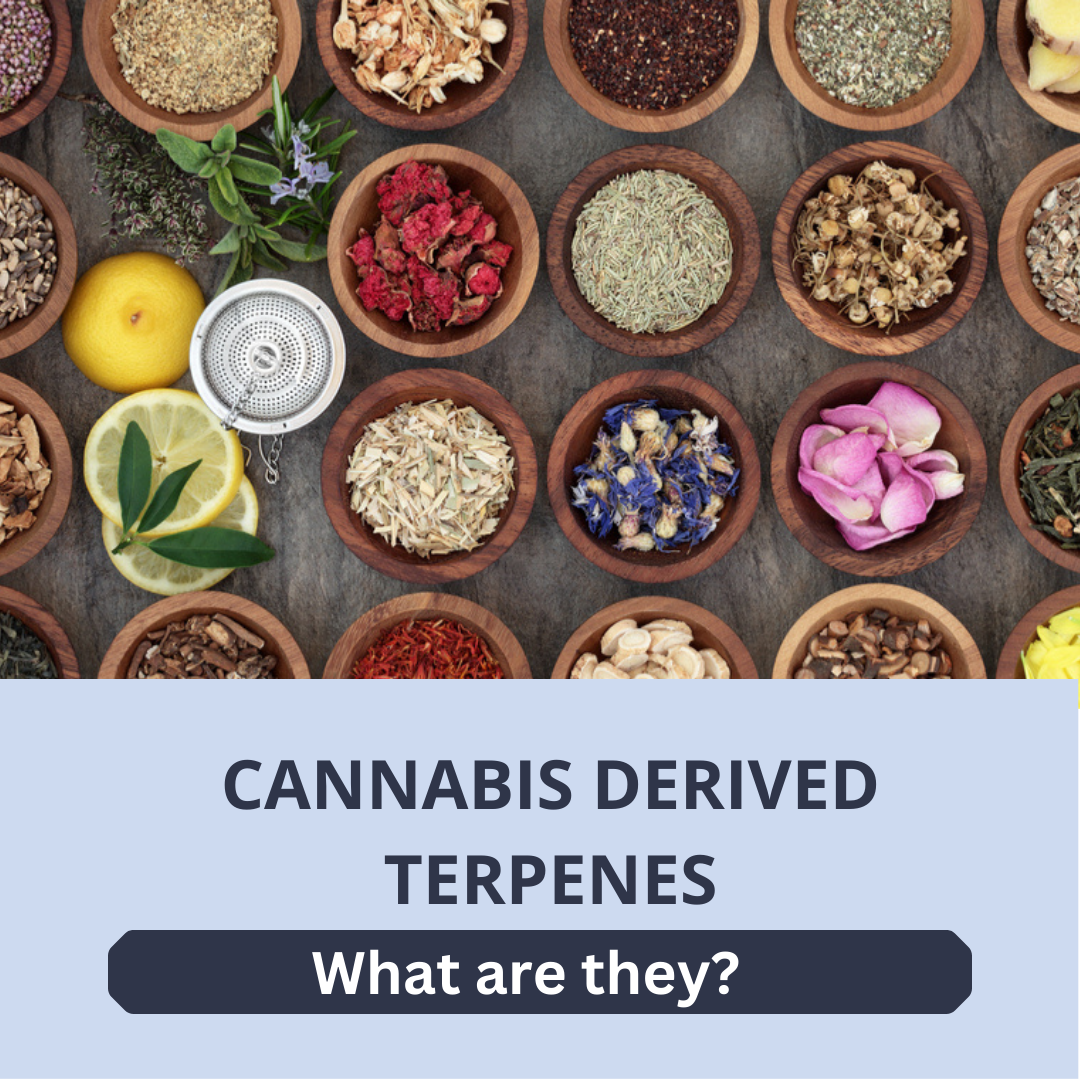 Cannabis Derived Terpenes What Are They Triangle Hemp Wellness 8354