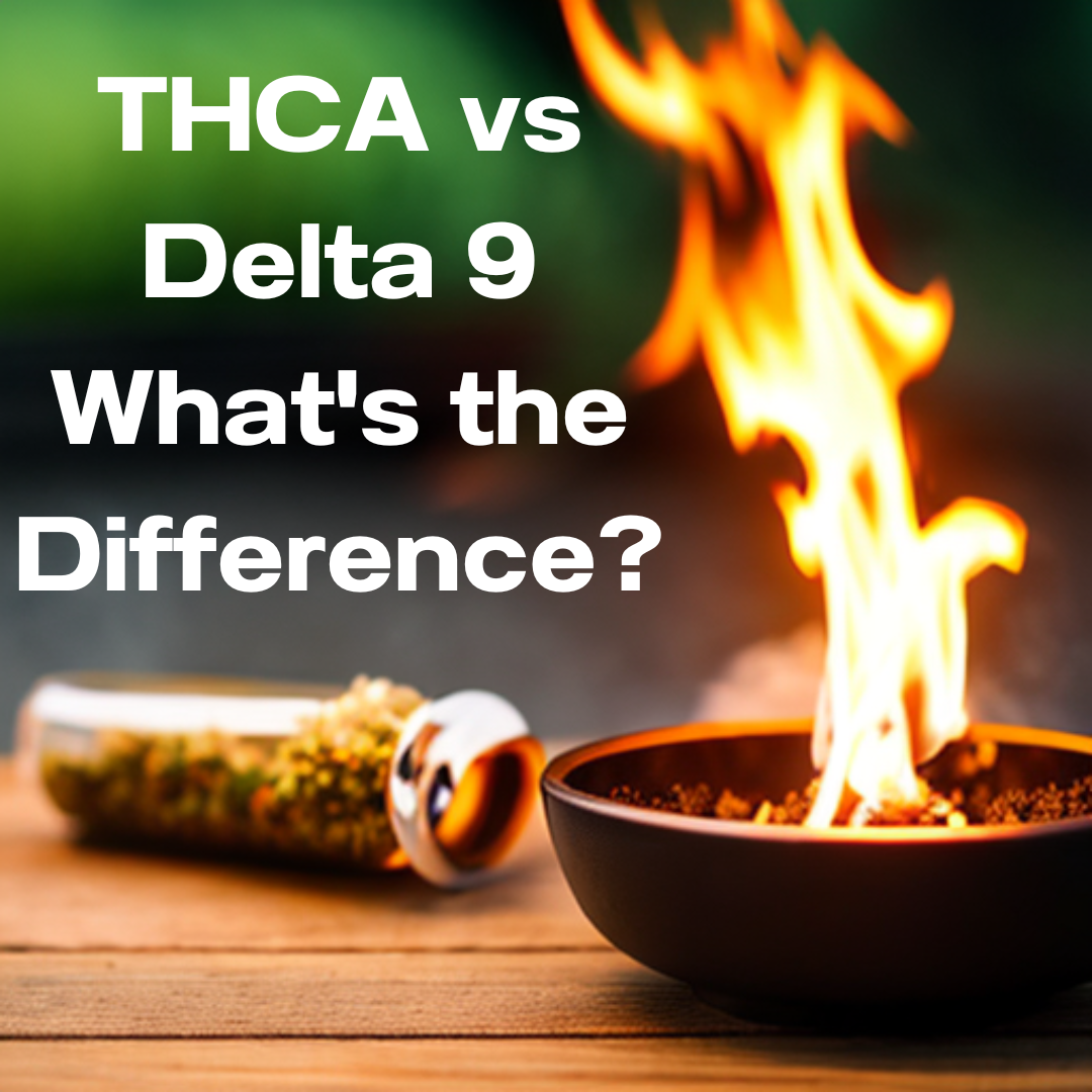 THCA Vs Delta 9 What's The Difference? – Triangle Hemp Wellness