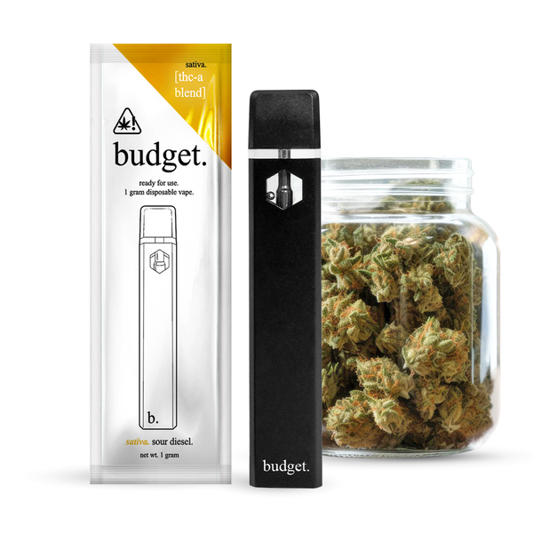 Budget 1 gram THC-A Disposables - Triangle Hemp Wellness